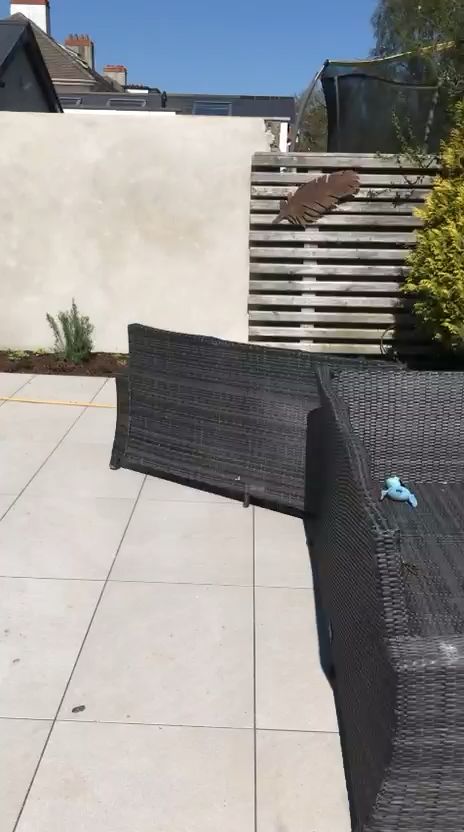 Patio & Wall — JAID video